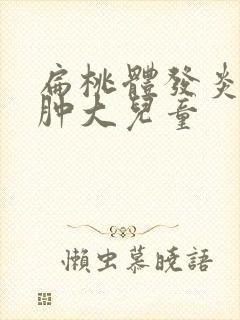 扁桃体发炎2度肿大儿童