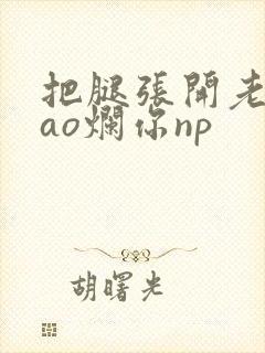 把腿张开老子cao烂你np