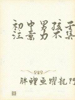 初中男孩子上课注意力不集中缺什么