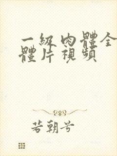 一级肉体全黄裸体片视频