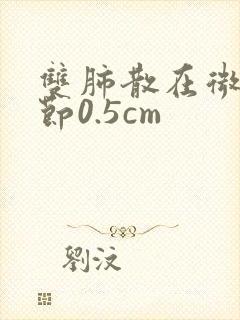 双肺散在微小结节0.5cm