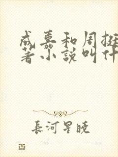 成嘉和周挺阳原著小说叫什么封面