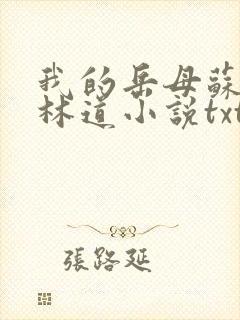 我的岳母苏沛真林道小说txt
