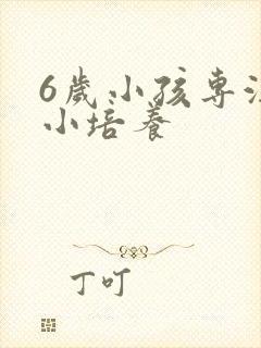 6岁小孩专注力小培养