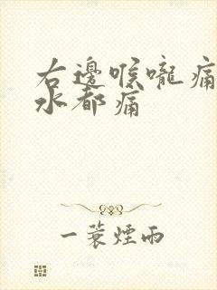 右边喉咙痛咽口水都痛封面