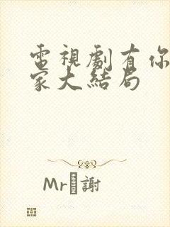 电视剧有你才有家大结局