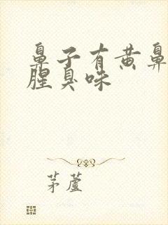 鼻子有黄鼻涕有腥臭味