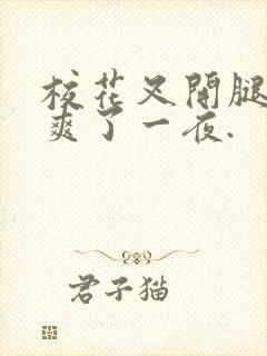 校花叉开腿让我爽了一夜.封面