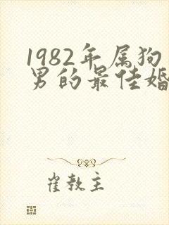 1982年属狗男的最佳婚配属相封面