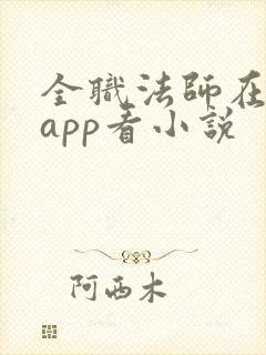 全职法师在哪个app看小说