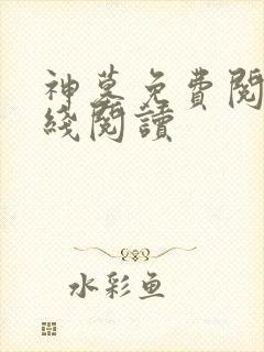 神墓免费阅读在线阅读
