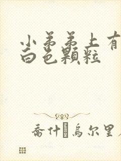 小弟弟上有很多白色颗粒封面