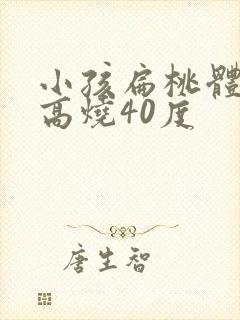 小孩扁桃体化脓高烧40度