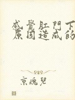 感觉肛门下坠的原因造成的封面