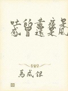 吐的黄痰是风热感冒还是风寒感冒