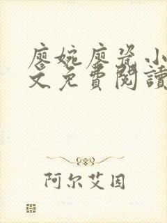 廖婉廖瓷小说全文免费阅读最新章节