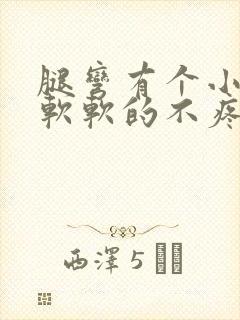 腿弯有个小疙瘩软软的不疼不痒封面