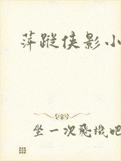 萍踪侠影小说封面