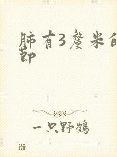 肺有3厘米的结节