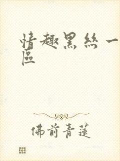 情趣黑丝一区二区