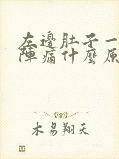 左边肚子一阵一阵痛什么原因