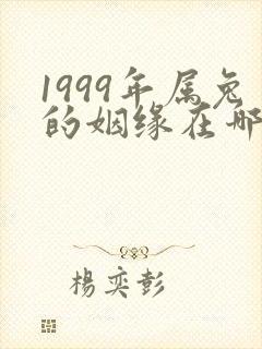 1999年属兔的姻缘在哪