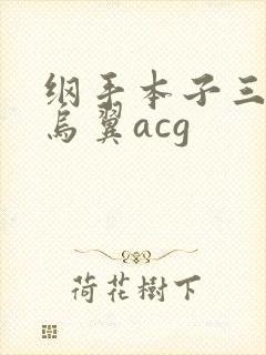 纲手本子三*无乌翼acg