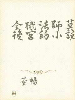 全职法师莫凡收后宫的小说