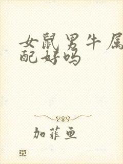 女鼠男牛属相婚配好吗