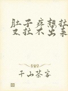 肚子疼想拉大便又拉不出来是什么原因