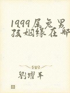 1999属兔男孩姻缘在哪一年