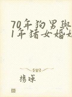 70年狗男与71年猪女婚姻感情封面