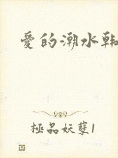 爱的潮水韩国