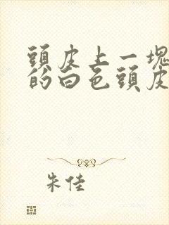 头皮上一块一块的白色头皮屑封面