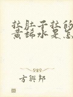 拉肚子拉的全是黄稀水是怎么回事封面