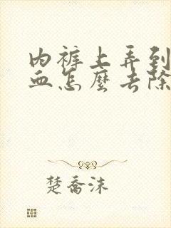 内裤上弄到姨妈血怎么去除