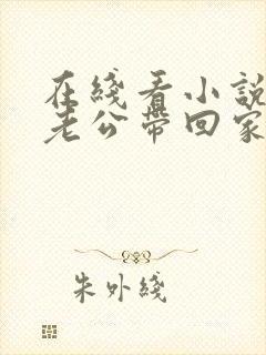 在线看小说国民老公带回家