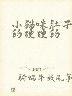 小猫咪肚子鼓鼓的硬硬的