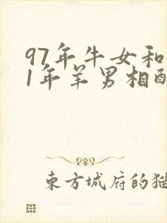 97年牛女和91年羊男相配婚姻如何封面