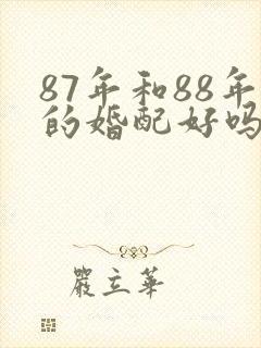 87年和88年的婚配好吗封面