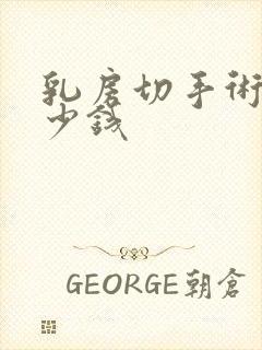 乳房切手术需多少钱