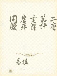 同房完第二天小腹疼痛什么原因