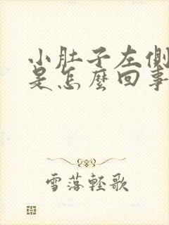 小肚子左侧很疼是怎么回事