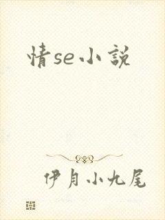 情se小说