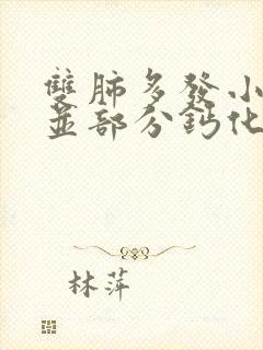 双肺多发小结节并部分钙化