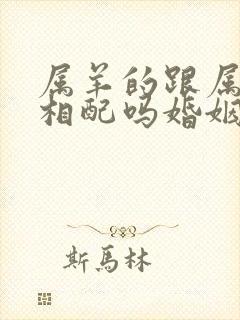 属羊的跟属蛇的相配吗婚姻封面