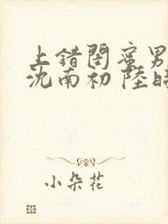 上错闺蜜男友 沈南初 陆时砚