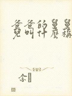 爸爸的舅舅的女儿叫什么称呼