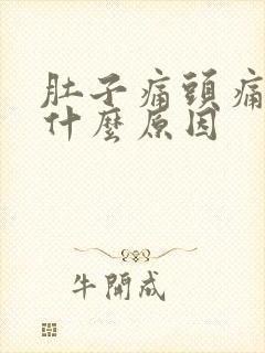 肚子痛头痛想吐什么原因