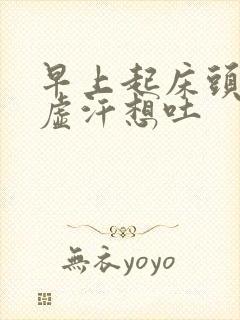 早上起床头晕出虚汗想吐